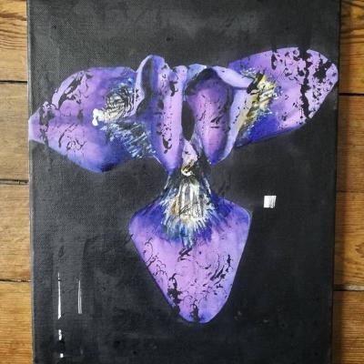 Orchydée violette