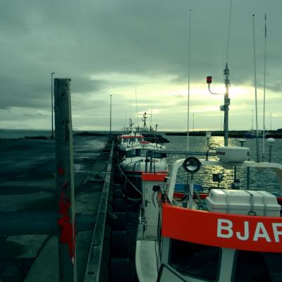 Icelandic Harbor