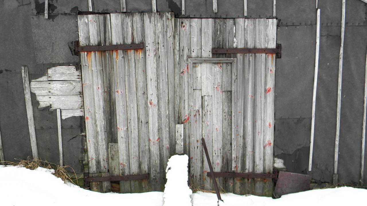 Icelandic door