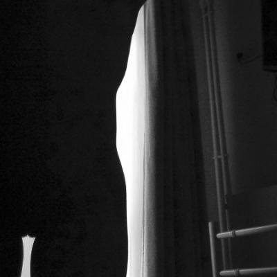 Bella contra luz