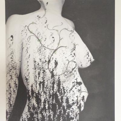 Delphine