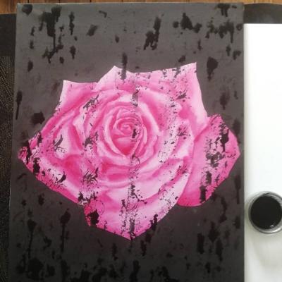 Rose